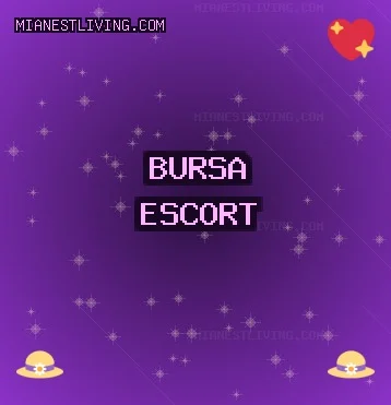 Bursa Escort: Gürsu Escort, Yıldırım Escort, Osmangazi Escort